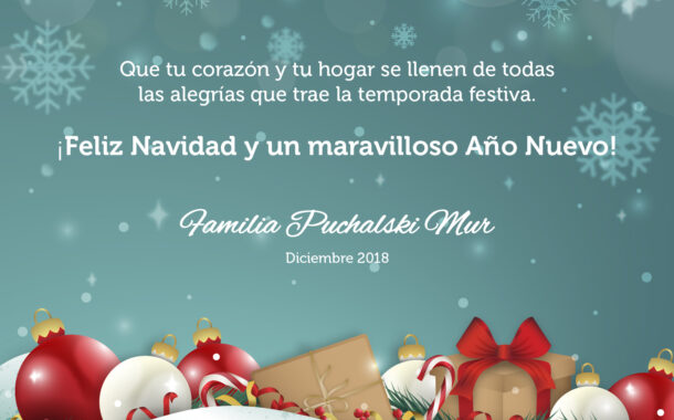 Felices Navidad y un mejor año 2019 !!!